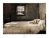 Master Bedroom Andrew Wyeth 29x22