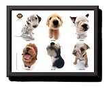 Hana Deka Padded Lap Tray Laptray - The Kennels