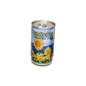 Grow Your Own Sunflower in a Tin