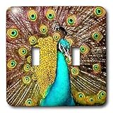 Birds - Colorful Peacock - Light Switch Covers - double toggle switch