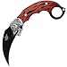 Fantasy Master Fire Skull Karambit Stainless Steel Knife with Sheath, 7.5- Inch, Multi