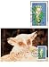 First Day of Issue WWF Zanzibar Galago Stamp