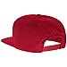 NCAA Men's Flat-Brim Snapback Cap