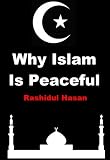 Islam Evil? Why Islam Is A Peaceful Religion (Islamic Series)