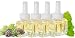 (4 Pack) Fraser Fir & Fresh Balsam Plug in Refill Fits Air Wick- Christmas Tree Scent