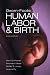 Oxorn Foote Human Labor and Birth, Sixth Edition