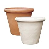 セラルンガ カメリア：インプルネッタ51（茶）（直径51cm、高さ44cm）[鉢]