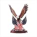 Patriotic Eagle