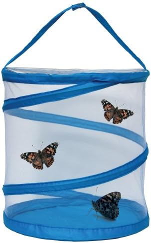 Amazing Bugs Habitat