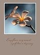 D.L. SYMPATHY W/ FLOWERS