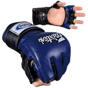 Combat : Price Fairtex Ultimate Combat Glove