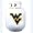 West Virginia University