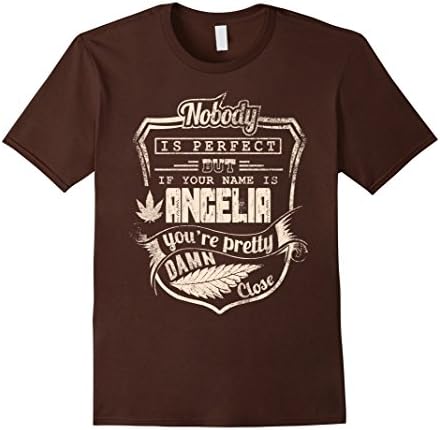 Men's ANGELIA T-shirt, Nobody is perfect but if your name is ANGEL 3XL Brown