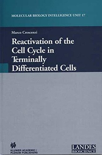 Reactivation of the Cell Cycle in Terminally Differentiated Cells (Molecular Biology Intelligence Unit)