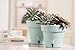 Santino Self Watering Planter Latina 9.2 Inch Shade Flower Pot with Bottom Watering and Water Level Indicator for Indoor/Outdoor use for All Plants, Flowers, Herbs