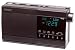 SANGEAN AMERICA RS-332S Additional Hi-Fi clock radio speaker system for RS-330S (SANGEAN AMERICA RS332S)