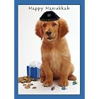 Hanukkah Pup Boxed Holiday Cards by  Sellers Publishing