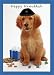 Book Hanukkah Pup Boxed Holiday Cards