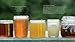 Taste of Honey: The Definitive Guide to Tasting and Cooking with 40 Varietals