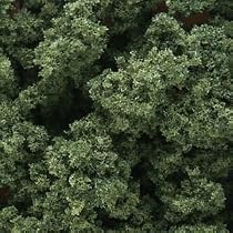Clump Foliage Medium Green