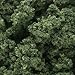 Woodland Scenics Medium Green Underbrush Clump-Foliage (32 oz. Shaker)