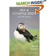 Sea and Coastal Birds: of North America by Scott Leslie