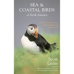 Sea and Coastal Birds of North America: A Guide to Observing, Understanding, and Conservation