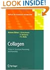 Collagen: Primer in Structure, Processing and Assembly (Topics in Current Chemistry)