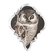 Owl Fringe Studio Chandlier Crystal Drop Shape Magnet
