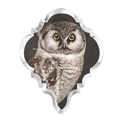 Owl Fringe Studio Chandlier Crystal Drop Shape Magnet