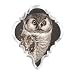 Owl Fringe Studio Chandlier Crystal Drop Shape Magnet