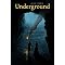 Underground Railroad Novels for Young Readers