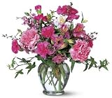 Cheerful Carnations