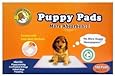BPS - Premium Puppy Training Pad - 100 Pcs, Pink
