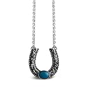17" Horseshoe Blue Turquoise Necklace