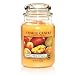 Mango Peach Salsa Large Jar