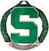 NCAA Michigan State Spartans Holiday Ornament