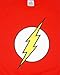 DC Comics Men's The Flash Logo Design T-Shirt