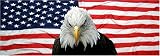 Eagle#6 Rear Window Mural,Decal,Tint