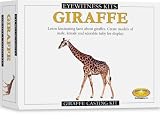 Skullduggery Inc. Eyewitness Kit Giraffe Casting Kit
