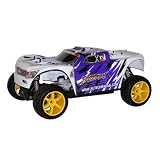 Nutech Sand Storm RTR 4WD Truggy in Purple