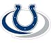 Indianapolis Colts Car Magnet Decal (12 -inch)