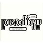 Experience (1992) ~ The Prodigy