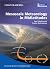 Mesoscale meteorology in midlatitudes