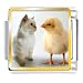 Jewelry : Chick And Kitten Animal Photo Italian Charms Bracelet Link