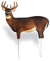 Renzo's® Whitetail Buck Decoy