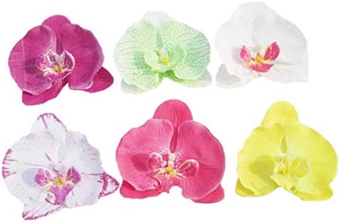 TANZKY 6pcs Girl Children Phalaenopsis Flower Headband Butterfly Hair Clips