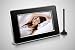 Electronics : Feastronics 7" Widescreen Hi-End Digital Freeview TV (DVB-t) and Photo Frame / Media Player - sleek and stylish glossy black and silver metallic rim, with low power consumption (Max 8 watts)