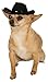 Rubie's Black Cowboy Hat for Pets, Medium/Large