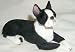 BOSTON TERRIER DOG FIGURINE Lays down Resin 507